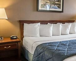 Quality Inn Schaumburg - Chicago near the Mall