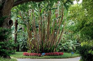 Parco dei Principi Hotel