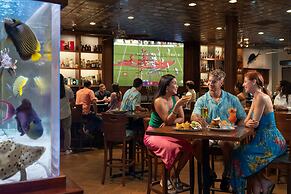 RumFish Beach at TradeWinds