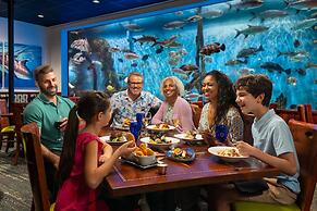 RumFish Beach at TradeWinds