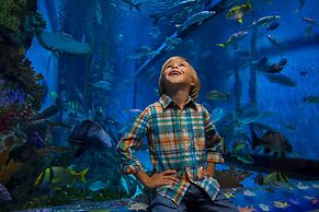 RumFish Beach at TradeWinds