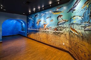 RumFish Beach at TradeWinds