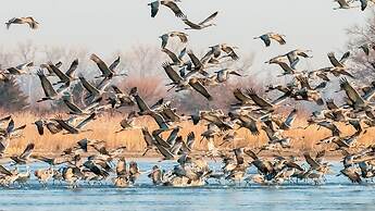 Holiday Inn Kearney by IHG