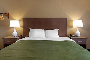 Quality Inn Saint Petersburg North-Tampa Bay