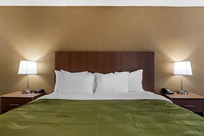 Quality Inn Saint Petersburg North-Tampa Bay