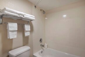 Quality Inn Saint Petersburg North-Tampa Bay