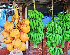 Crowne Plaza Resort Salalah by IHG