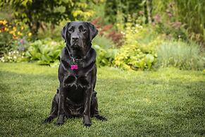 Fairmont Chateau Whistler