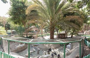 Jolie Ville Hotel & Spa Kings Island Luxor