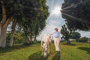 Jolie Ville Hotel & Spa Kings Island Luxor