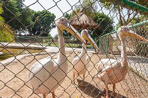 Jolie Ville Hotel & Spa Kings Island Luxor