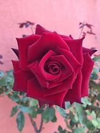 Ontario Airport Hotel & Conference Center