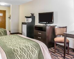 Comfort Inn Maumee - Perrysburg Area