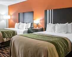 Comfort Inn Maumee - Perrysburg Area