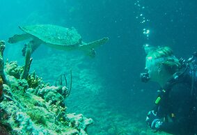 Secret Harbour Beach Resort