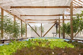 Galley Bay Resort & Spa