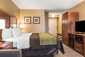 Comfort Inn & Suites Piqua-Near Troy-I75