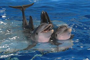 Sheraton Sand Key Resort