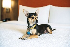 Hampton Inn Lexington South-Keeneland/Airport