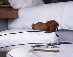 The Westin Mount Laurel