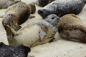Fireside Inn on Moonstone Beach