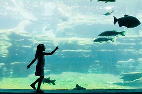 Hyatt Regency Orlando