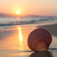 Holiday Inn Resort South Padre Island - Beach Front by IHG