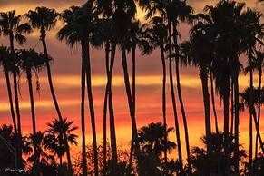 Holiday Inn Resort South Padre Island - Beach Front by IHG