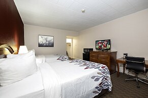 Red Roof Inn & Suites Hazleton