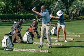 Walt Disney World Swan