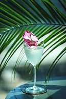 The Parker Hotel and Rooftop