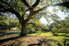 Marriott Baton Rouge