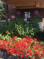 Comfort Inn Ellsworth - Bar Harbor