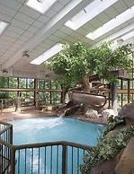 The Park Vista - a DoubleTree by Hilton Hotel - Gatlinburg