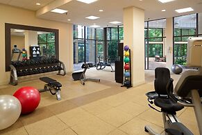 The Park Vista - a DoubleTree by Hilton Hotel - Gatlinburg