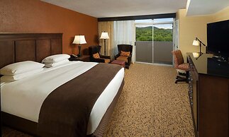 The Park Vista - a DoubleTree by Hilton Hotel - Gatlinburg