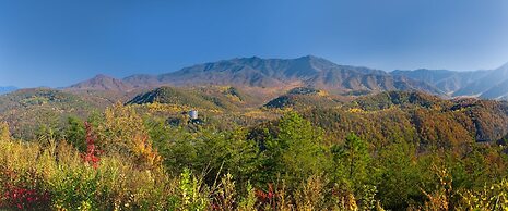 The Park Vista - a DoubleTree by Hilton Hotel - Gatlinburg