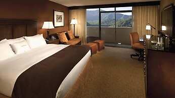 The Park Vista - a DoubleTree by Hilton Hotel - Gatlinburg
