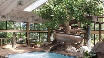 The Park Vista - a DoubleTree by Hilton Hotel - Gatlinburg