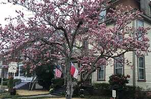 Meadows Inn Bed & Breakfast