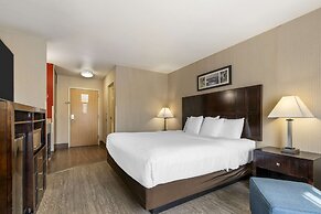 Comfort Inn Troutdale - Portland East