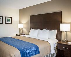 Comfort Inn & Suites Fuquay Varina