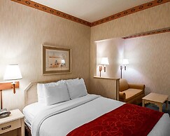 Comfort Suites Peoria Sports Complex