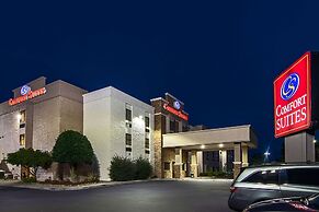 Comfort Suites Knoxville Airport