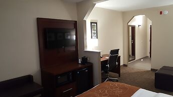 Comfort Suites Knoxville Airport