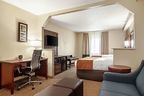 Comfort Suites Knoxville Airport