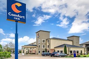 Comfort Inn Somerset