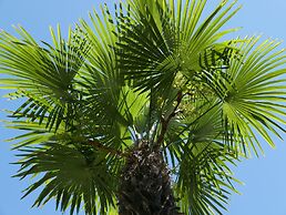 Continental Parkhotel