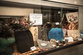 Alexander Guesthouse