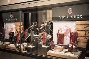 Alexander Guesthouse